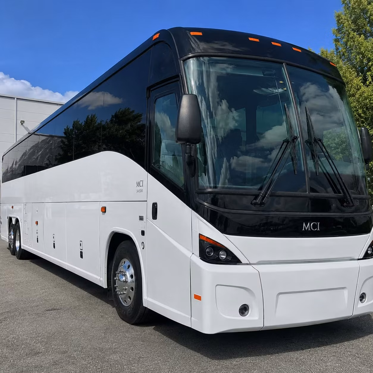 charter bus rentals for jackson zoo and outdoor education field trips
