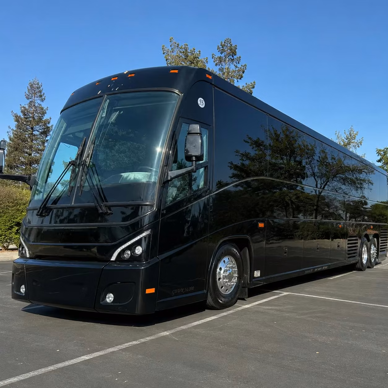 jackson sports teams and fan groups long distance travel done right